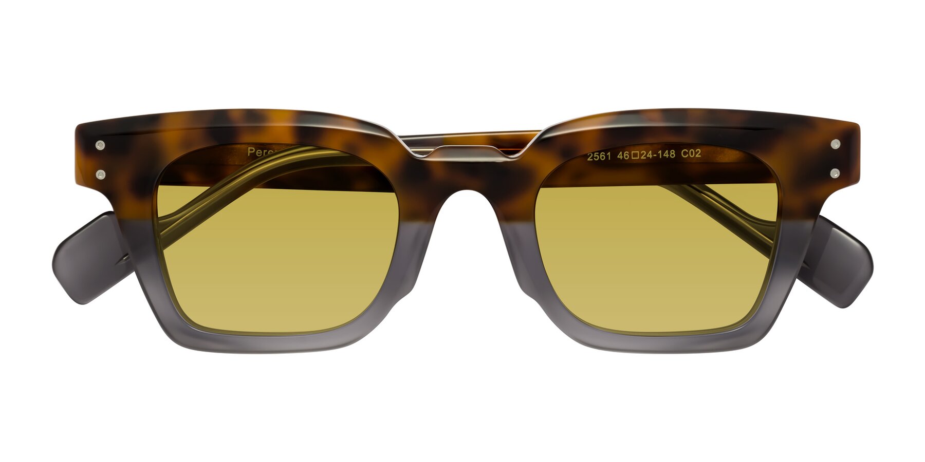 Folded Front of Perez in Tortoise/Gray with Champagne Tinted Lenses
