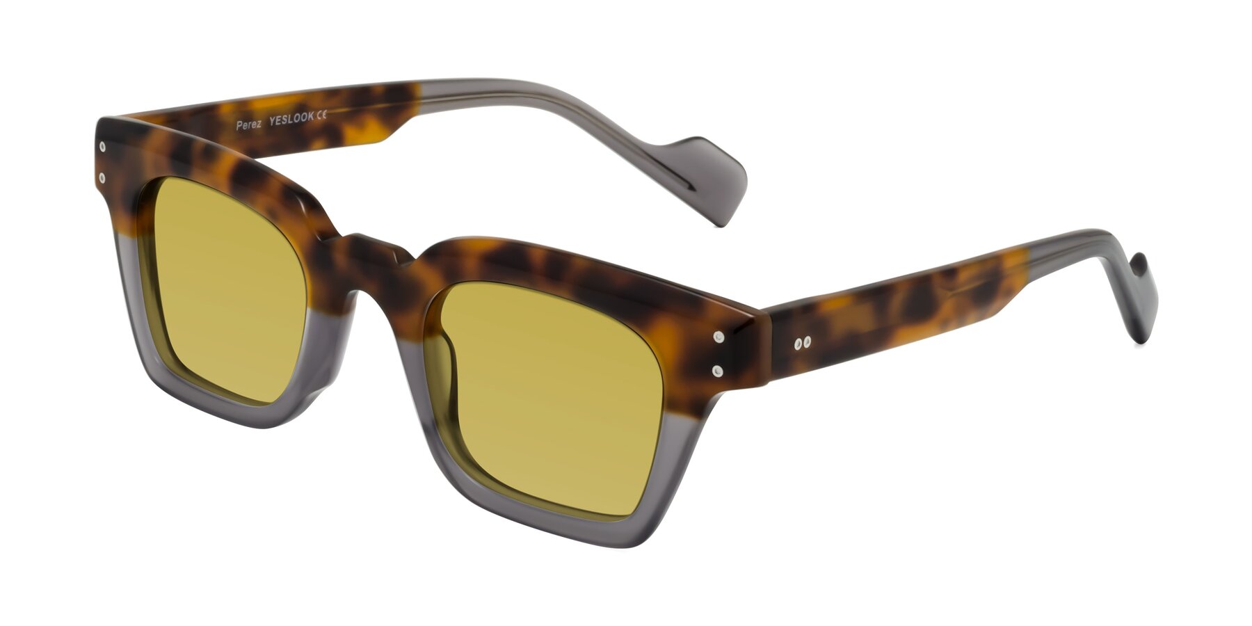 Angle of Perez in Tortoise/Gray with Champagne Tinted Lenses
