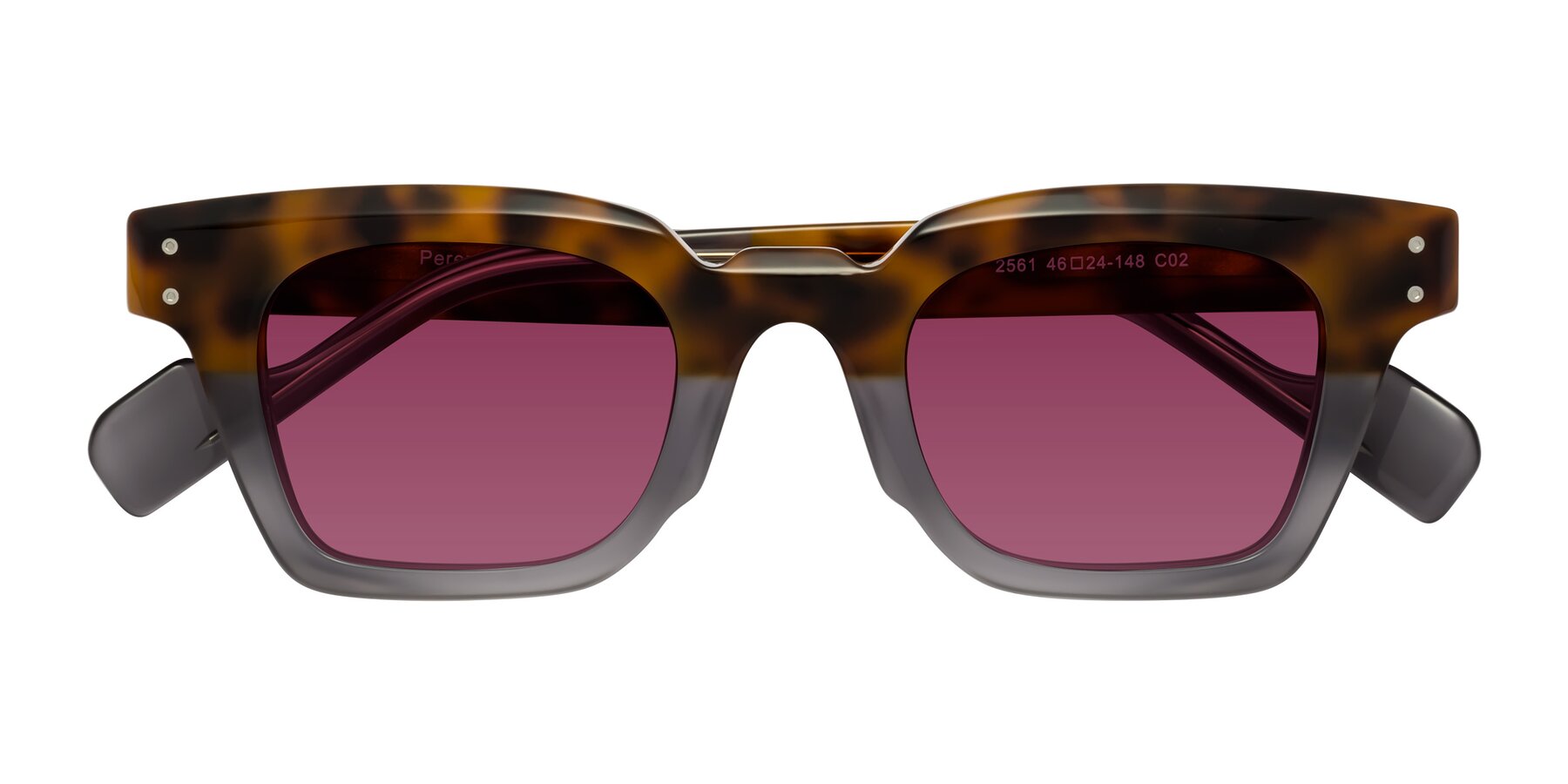 Folded Front of Perez in Tortoise/Gray with Wine Tinted Lenses