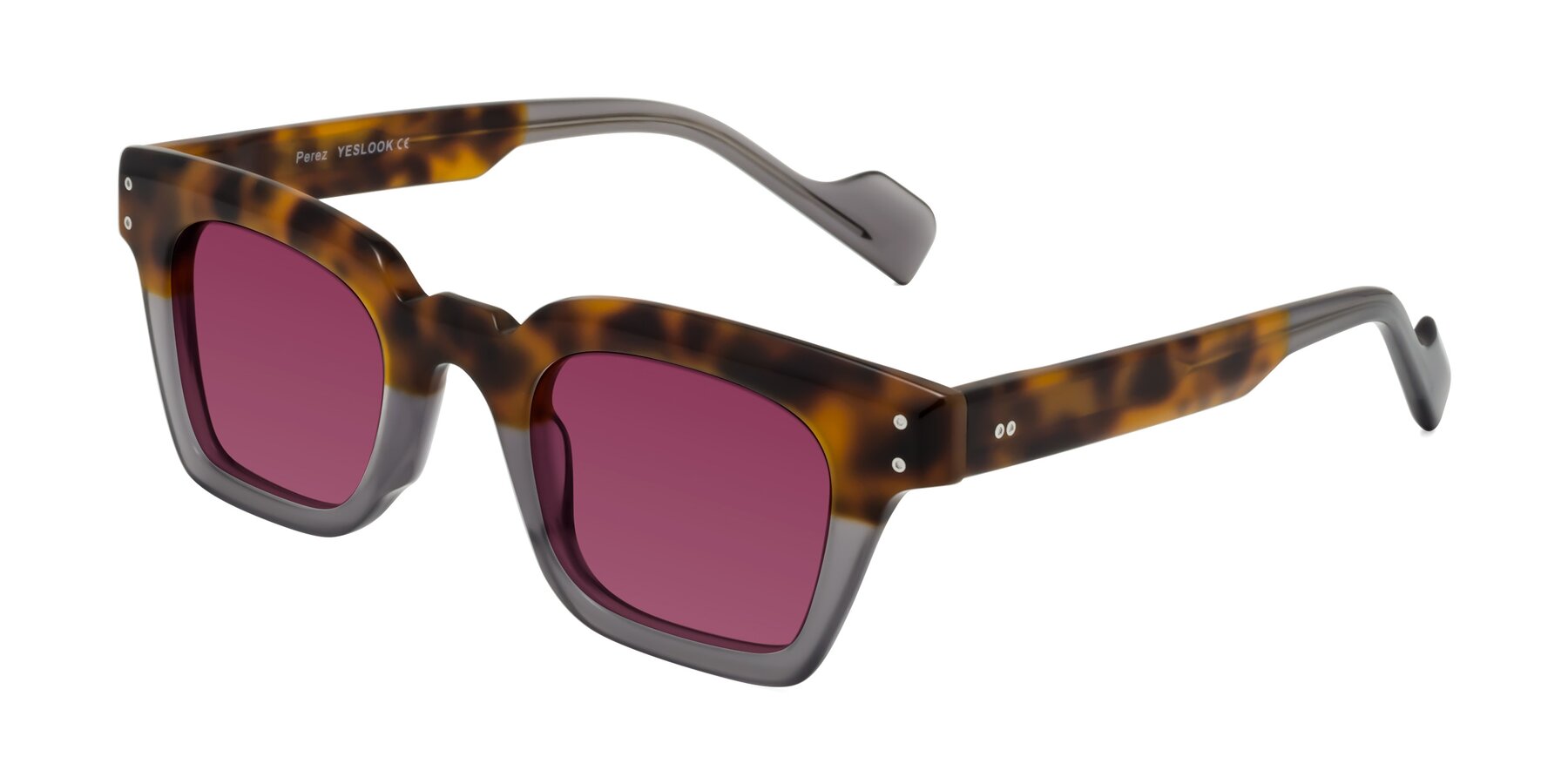 Angle of Perez in Tortoise/Gray with Wine Tinted Lenses