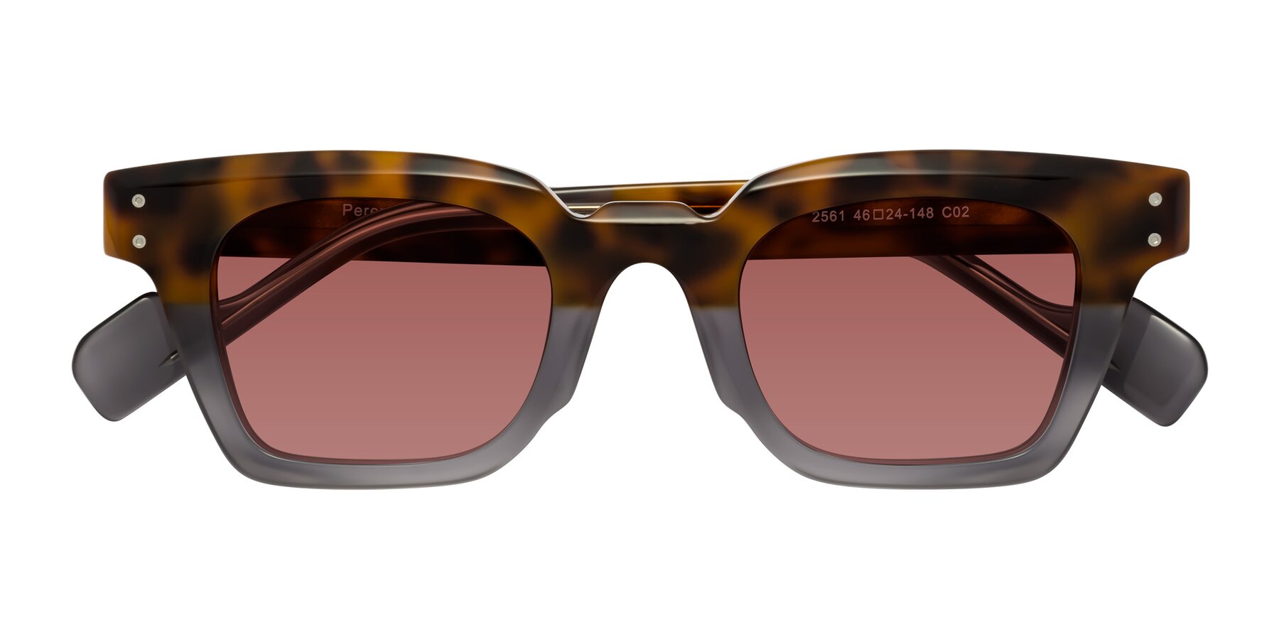 Folded Front of Perez in Tortoise/Gray with Garnet Tinted Lenses