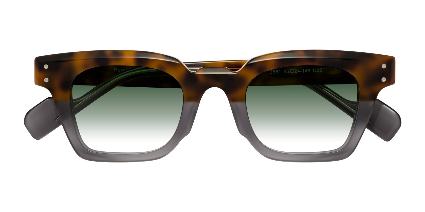 Folded Front of Perez in Tortoise/Gray with Green Gradient Lenses