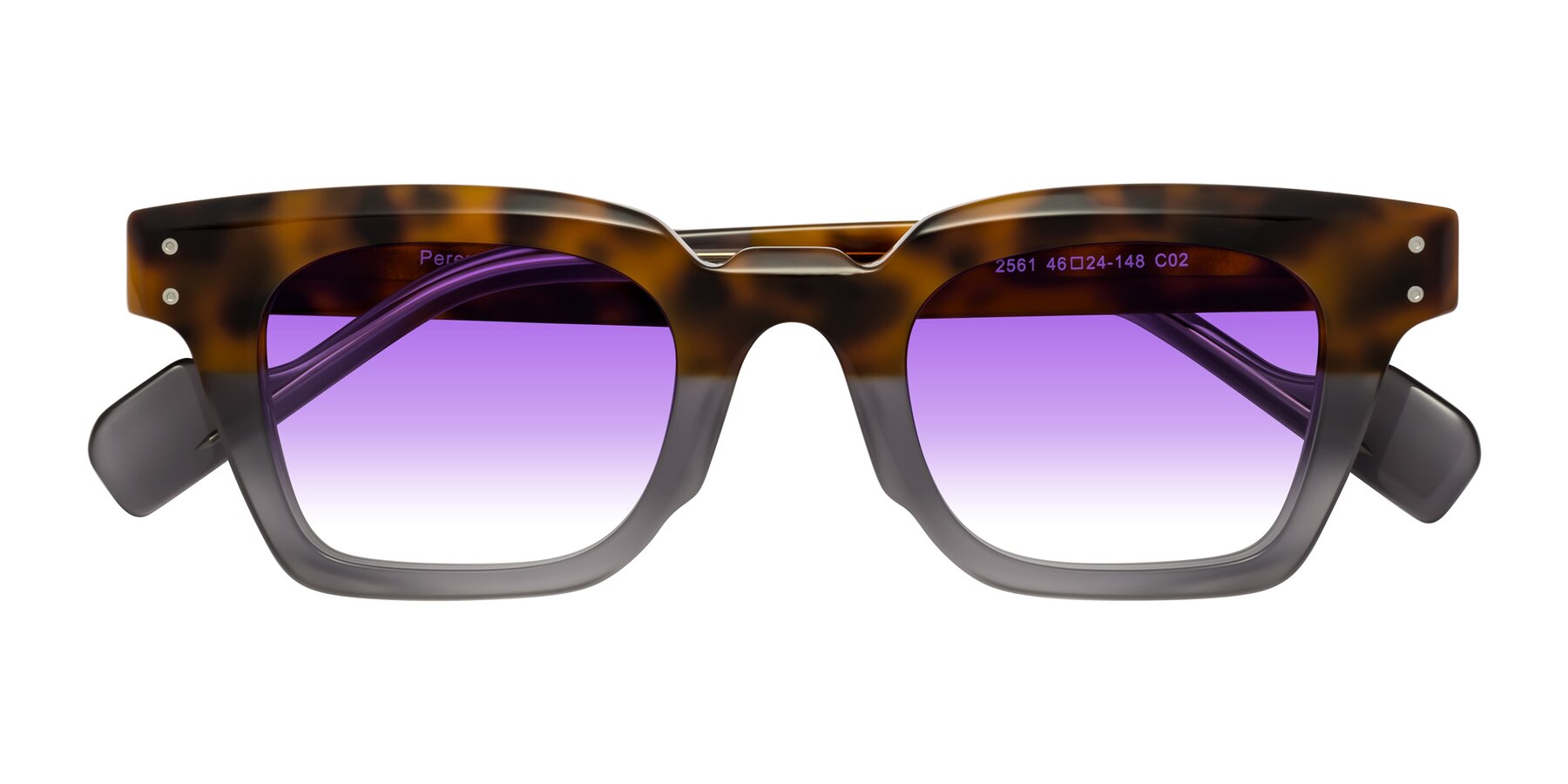 Folded Front of Perez in Tortoise/Gray with Purple Gradient Lenses