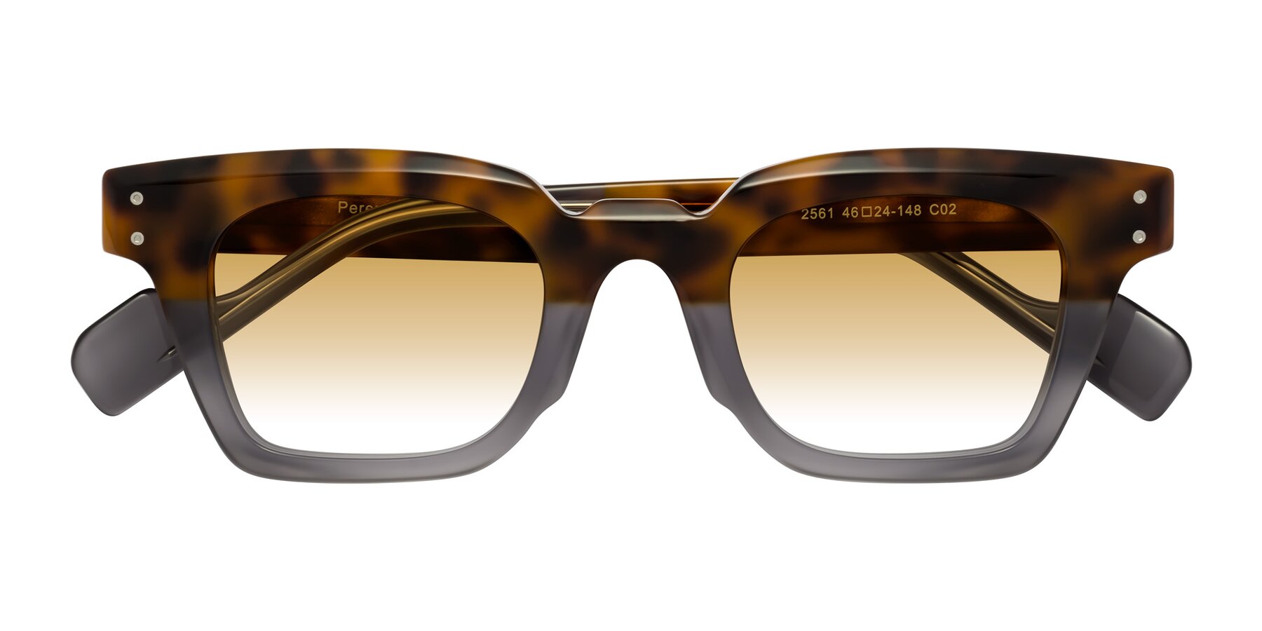 Folded Front of Perez in Tortoise/Gray with Champagne Gradient Lenses