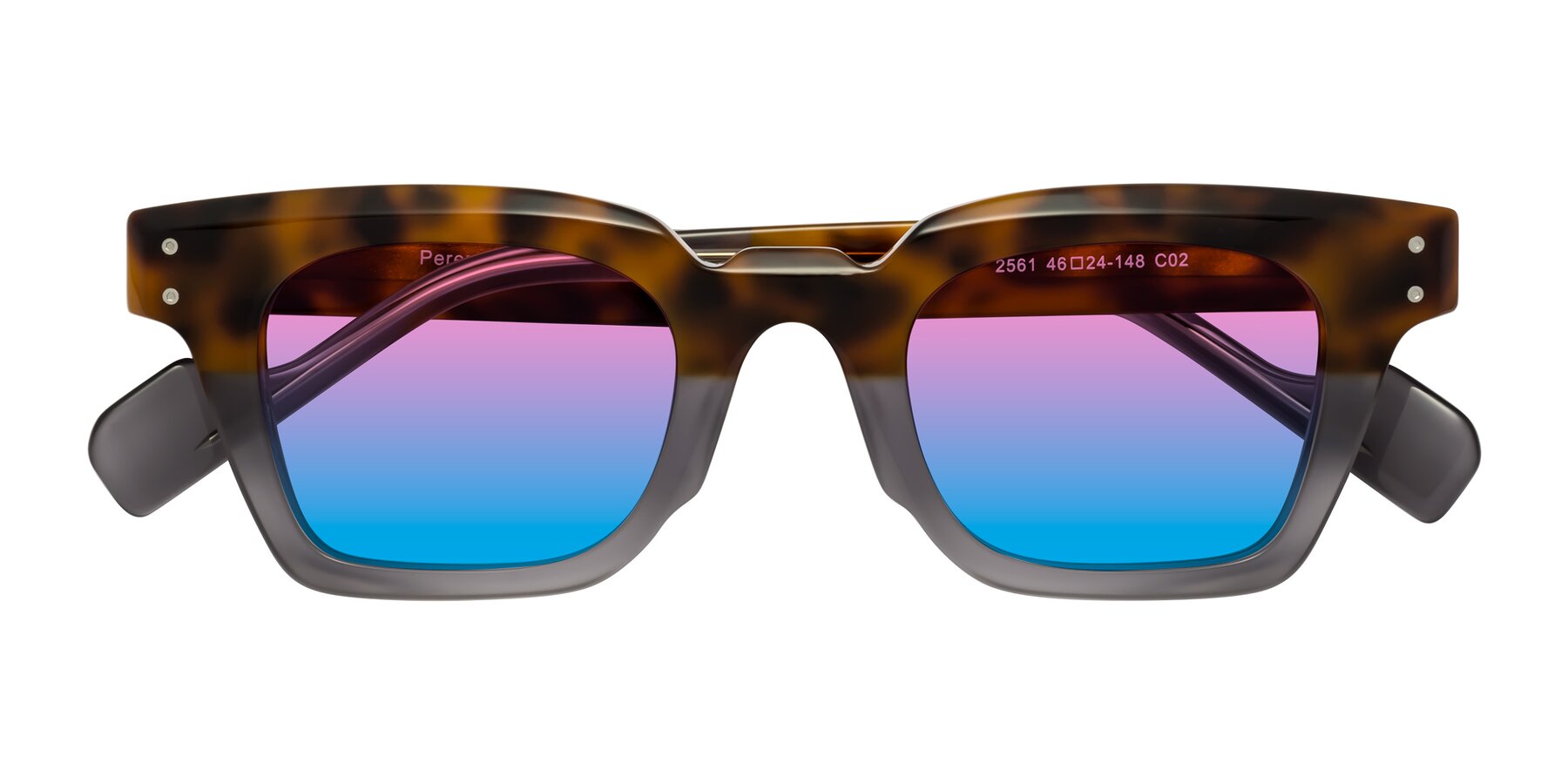 Folded Front of Perez in Tortoise/Gray with Pink / Blue Gradient Lenses