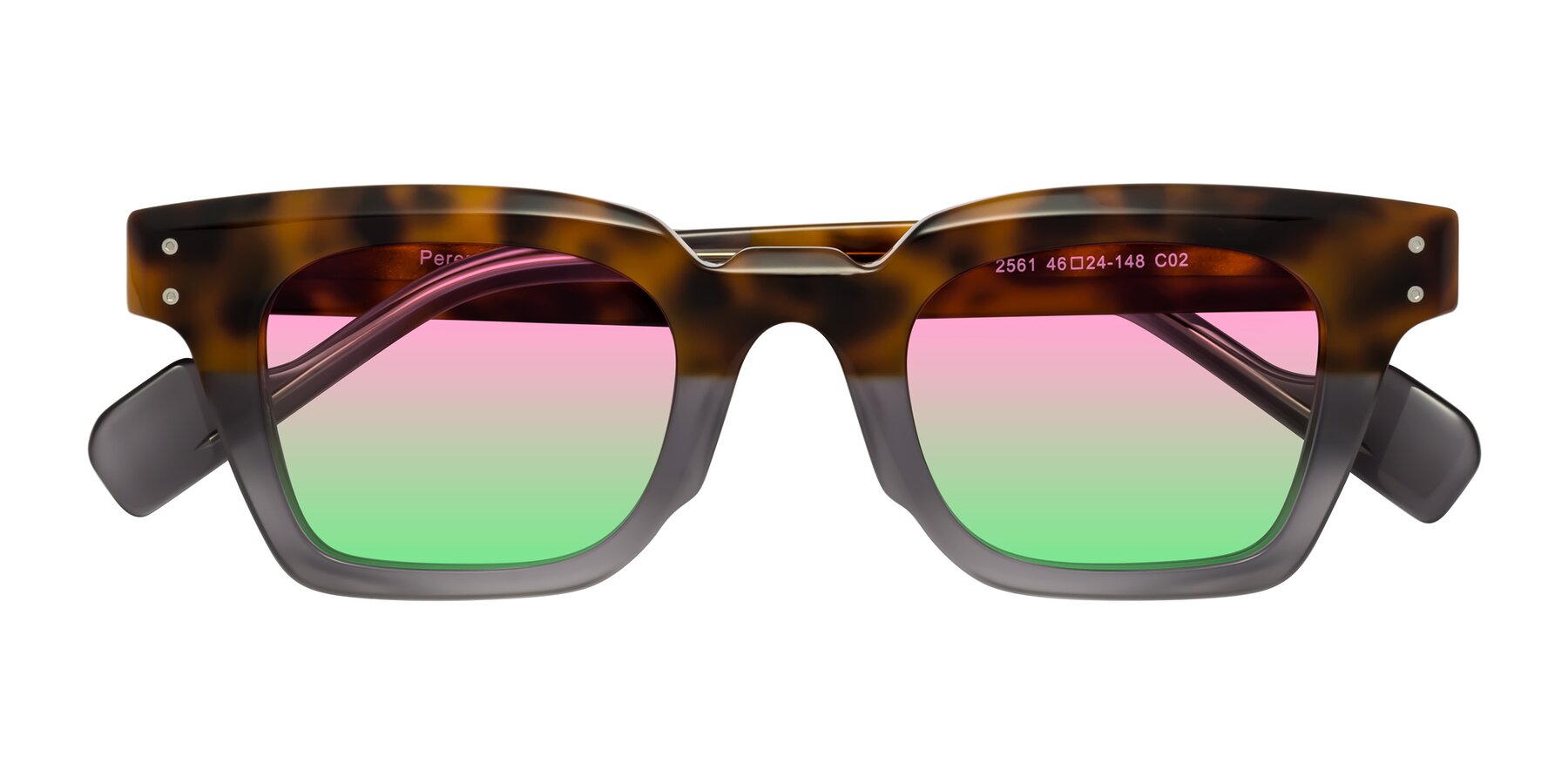 Folded Front of Perez in Tortoise/Gray with Pink / Green Gradient Lenses