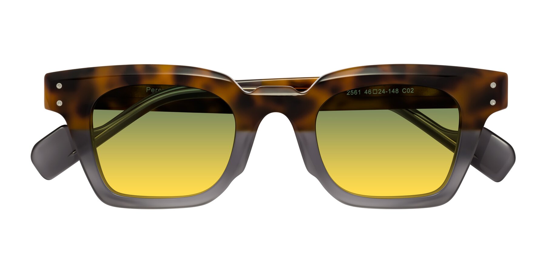 Folded Front of Perez in Tortoise/Gray with Green / Yellow Gradient Lenses