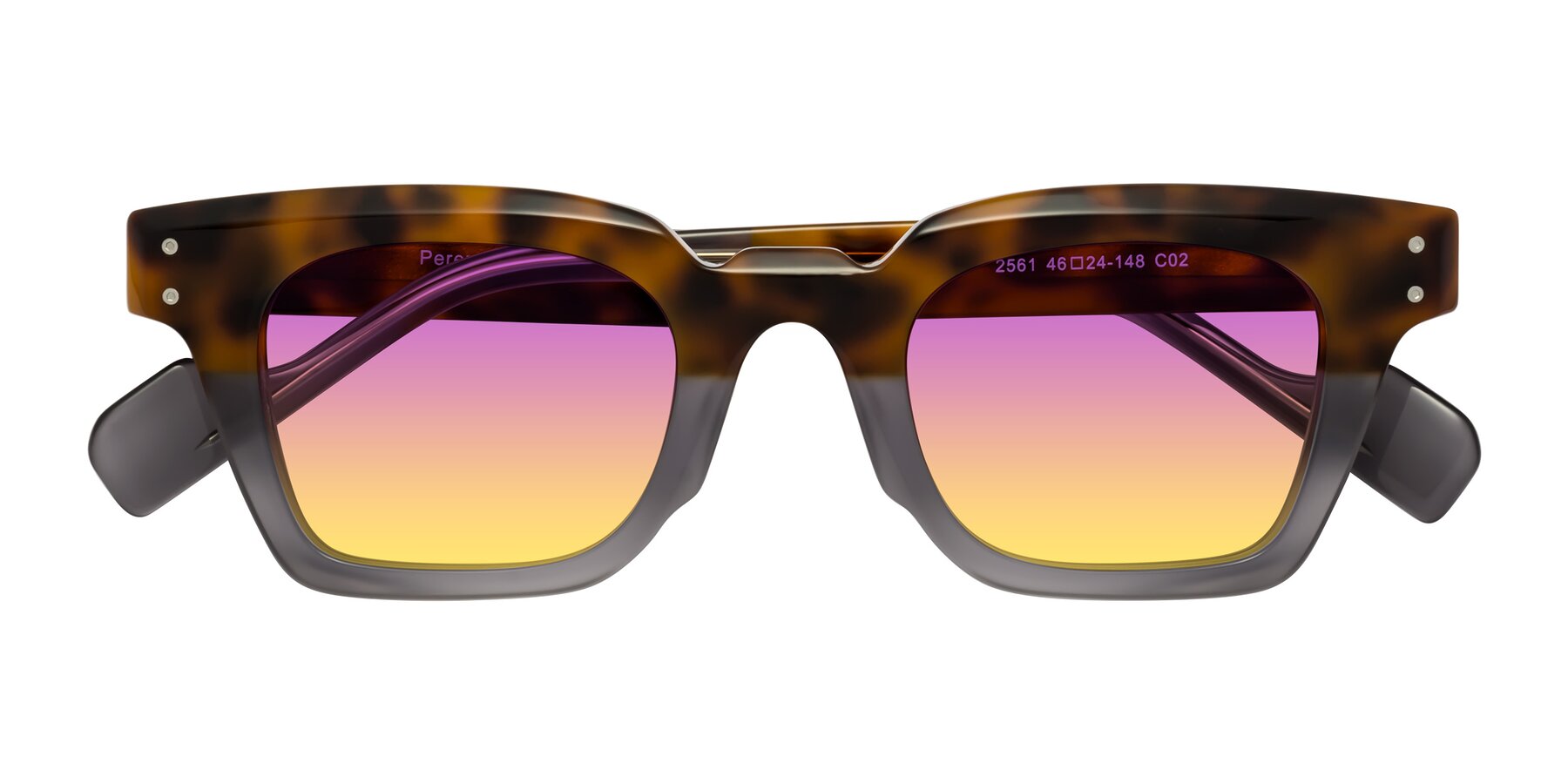Folded Front of Perez in Tortoise/Gray with Purple / Yellow Gradient Lenses