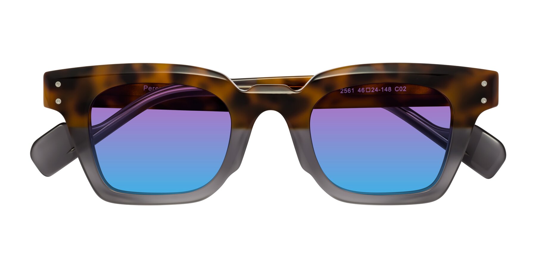Folded Front of Perez in Tortoise/Gray with Purple / Blue Gradient Lenses