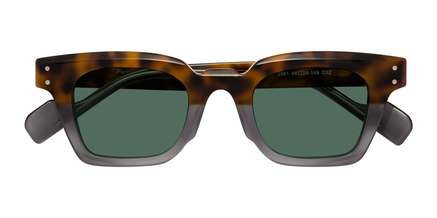 Folded Front of Perez in Tortoise/Gray with Green Polarized Lenses