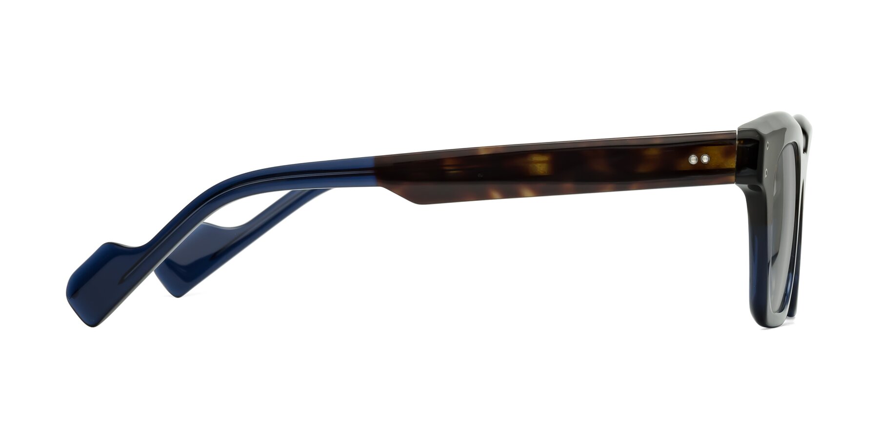 Side of Perez in Dark Tortoise/Blue with Light Gray Tinted Lenses