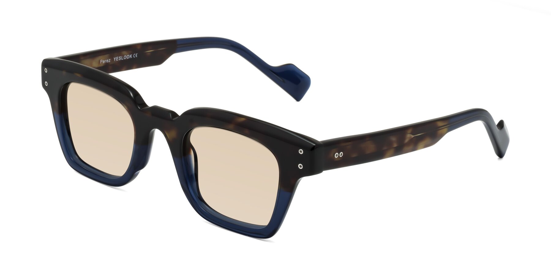 Angle of Perez in Dark Tortoise/Blue with Light Brown Tinted Lenses
