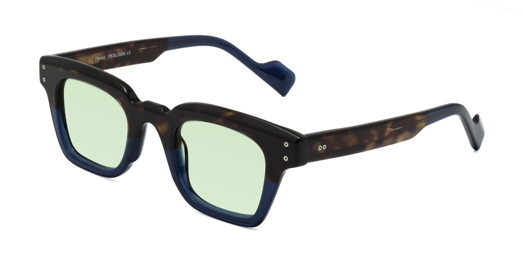 Angle of Perez in Dark Tortoise/Blue with Light Green Tinted Lenses