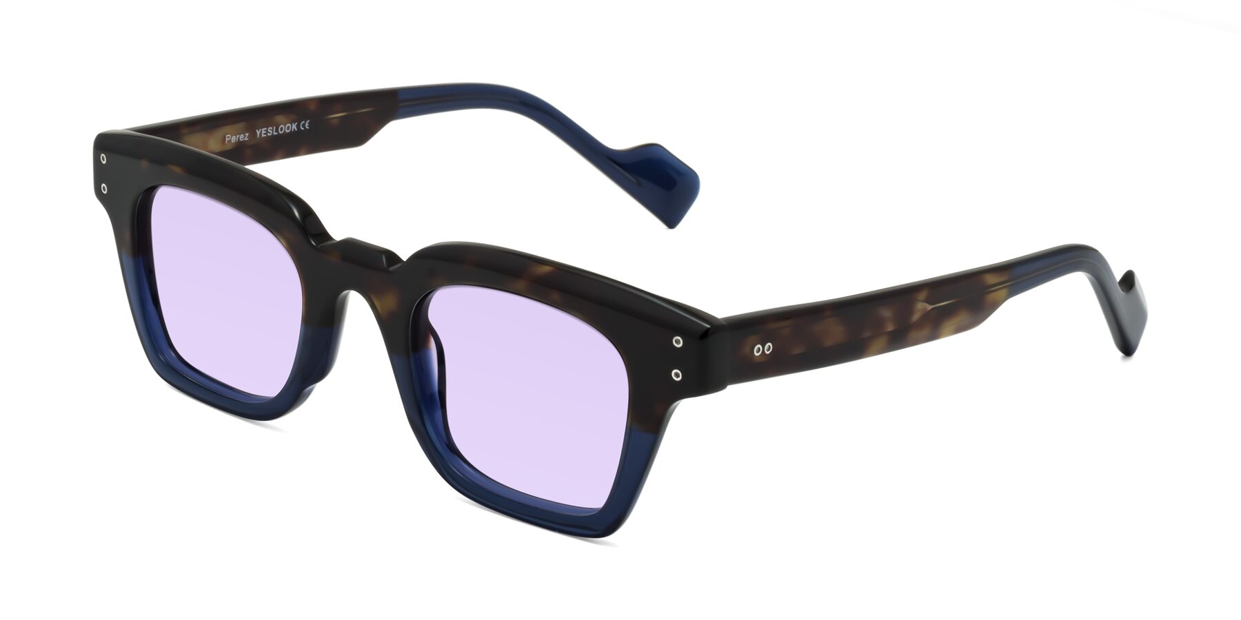 Angle of Perez in Dark Tortoise/Blue with Light Purple Tinted Lenses