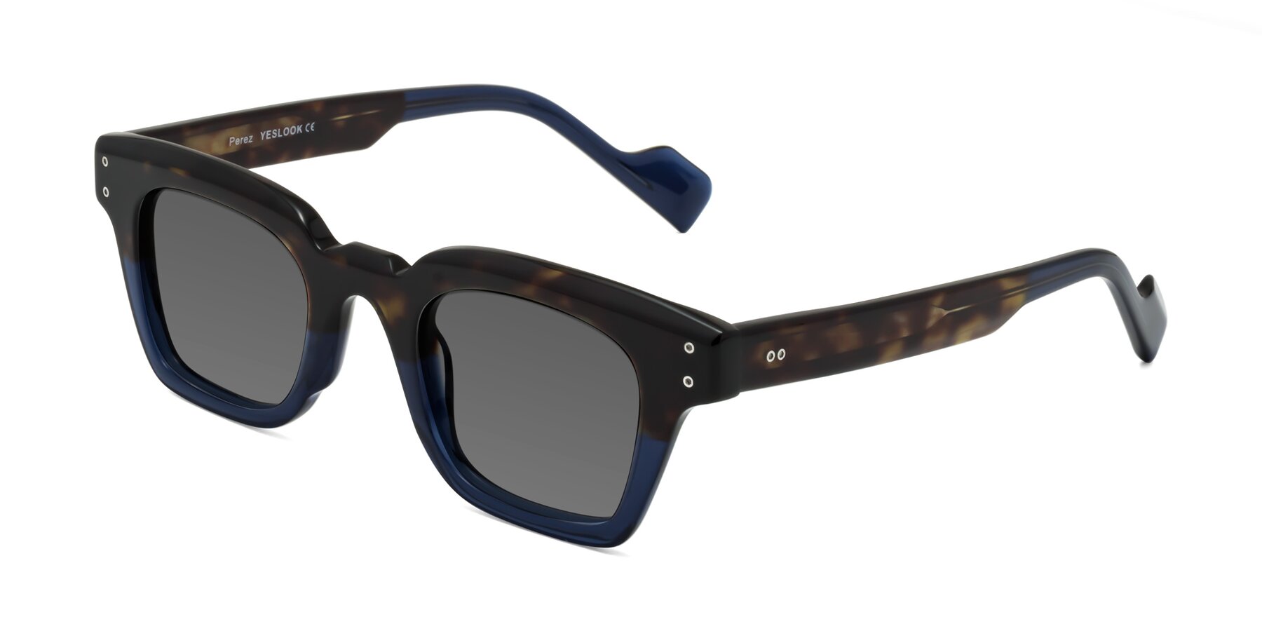 Angle of Perez in Dark Tortoise/Blue with Medium Gray Tinted Lenses