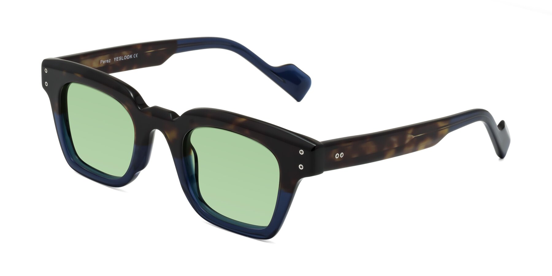Angle of Perez in Dark Tortoise/Blue with Medium Green Tinted Lenses
