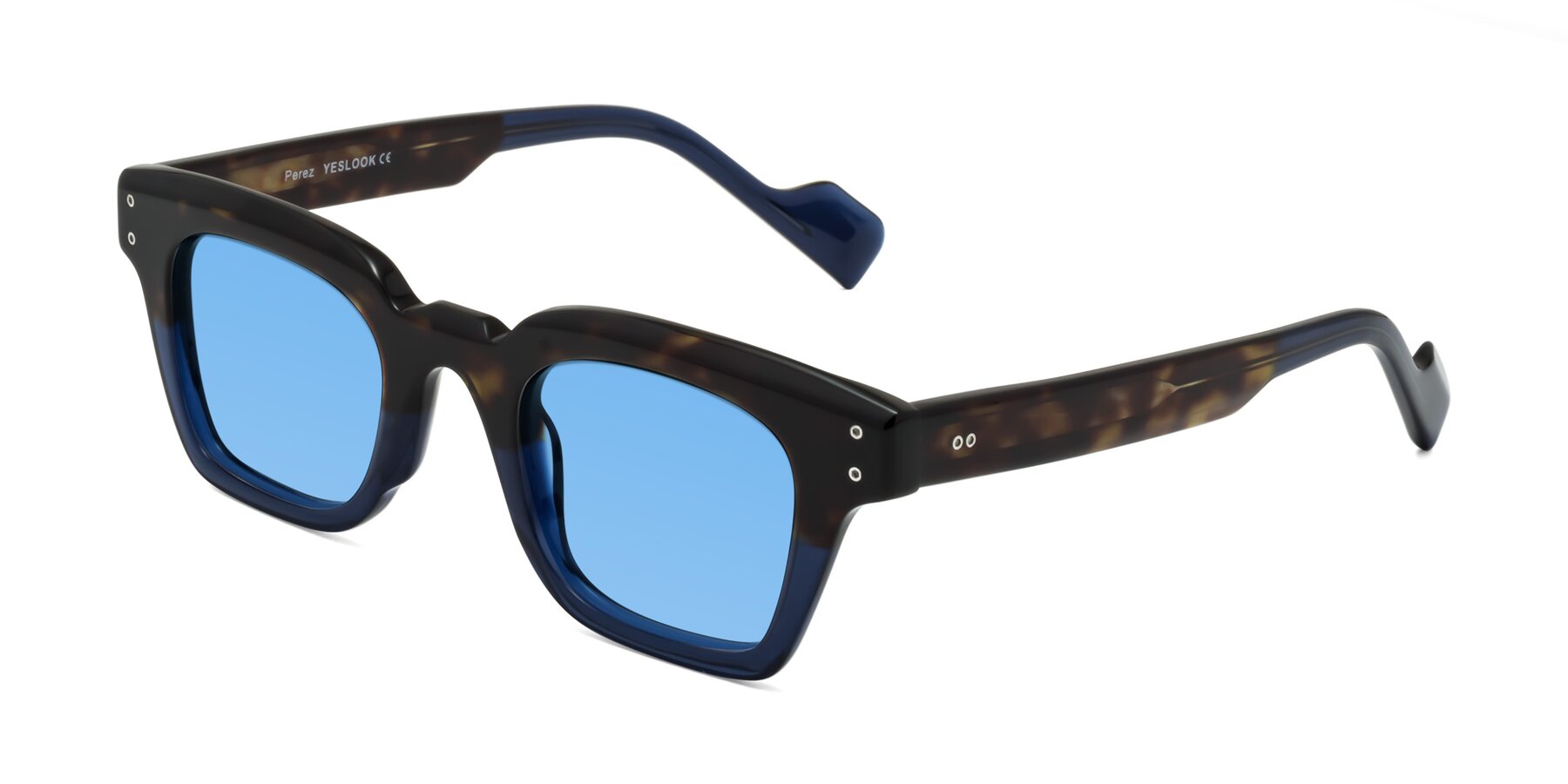 Angle of Perez in Dark Tortoise/Blue with Medium Blue Tinted Lenses