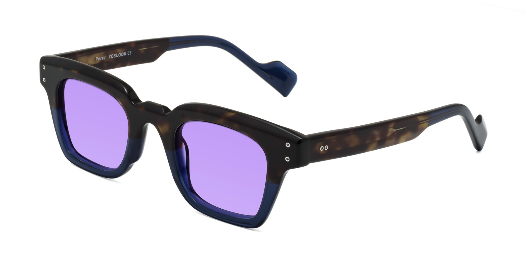 Angle of Perez in Dark Tortoise/Blue with Medium Purple Tinted Lenses
