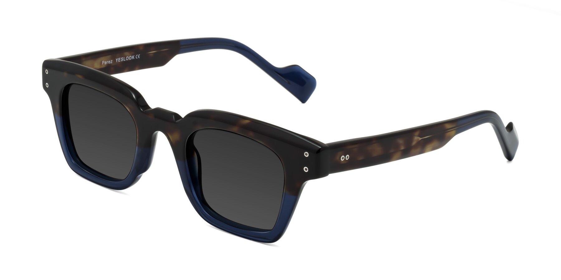 Angle of Perez in Dark Tortoise/Blue with Gray Tinted Lenses