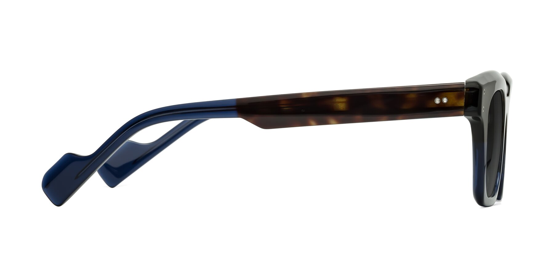 Side of Perez in Dark Tortoise/Blue with Gray Tinted Lenses