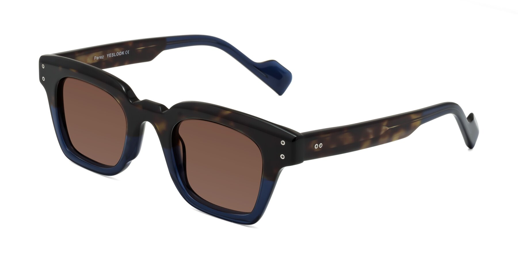 Angle of Perez in Dark Tortoise/Blue with Brown Tinted Lenses
