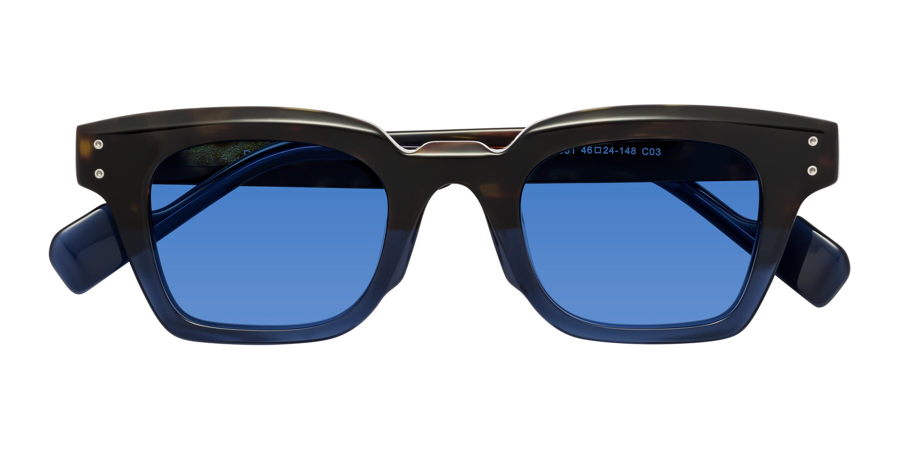 Folded Front of Perez in Dark Tortoise/Blue with Blue Tinted Lenses