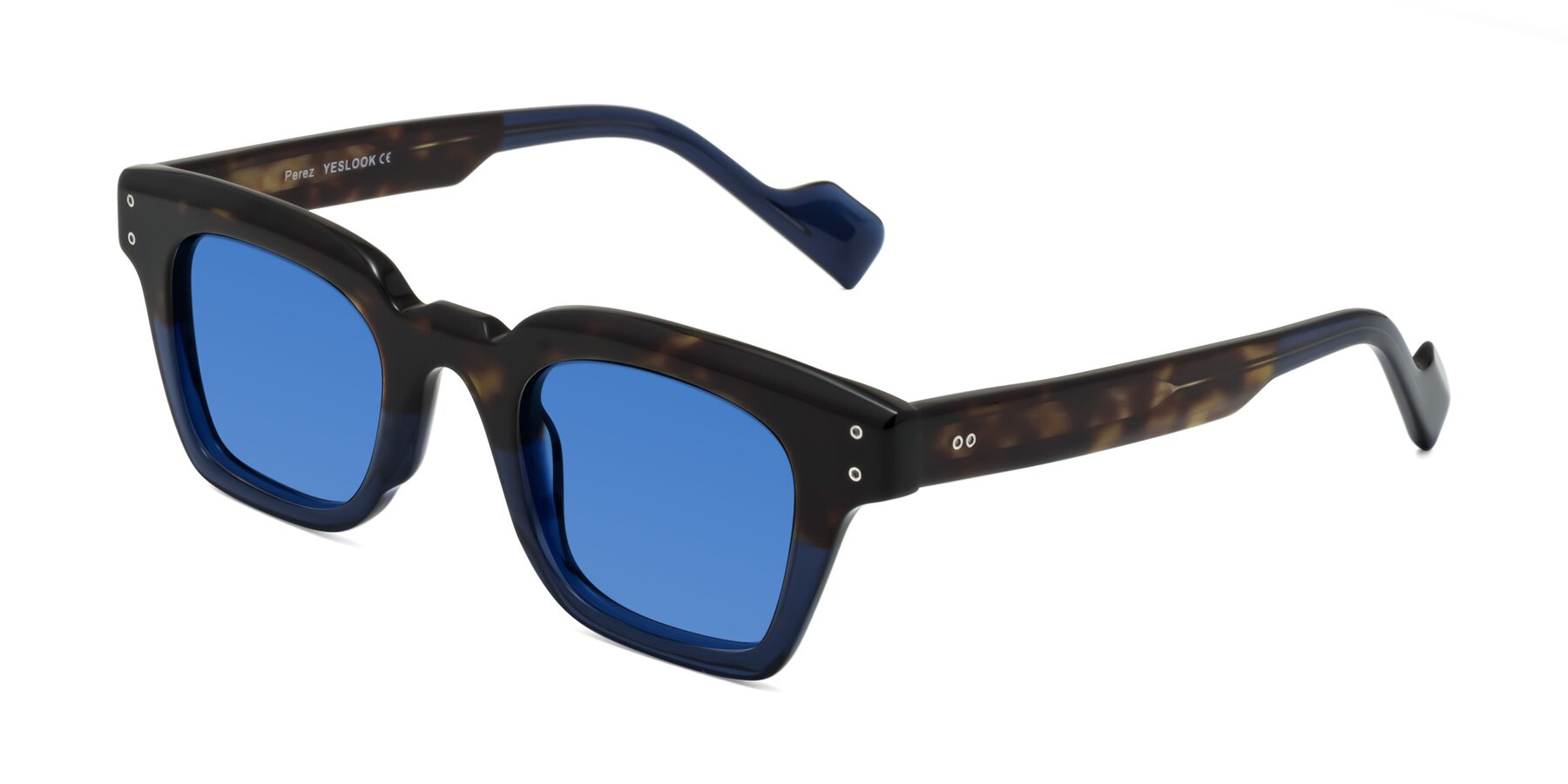 Angle of Perez in Dark Tortoise/Blue with Blue Tinted Lenses