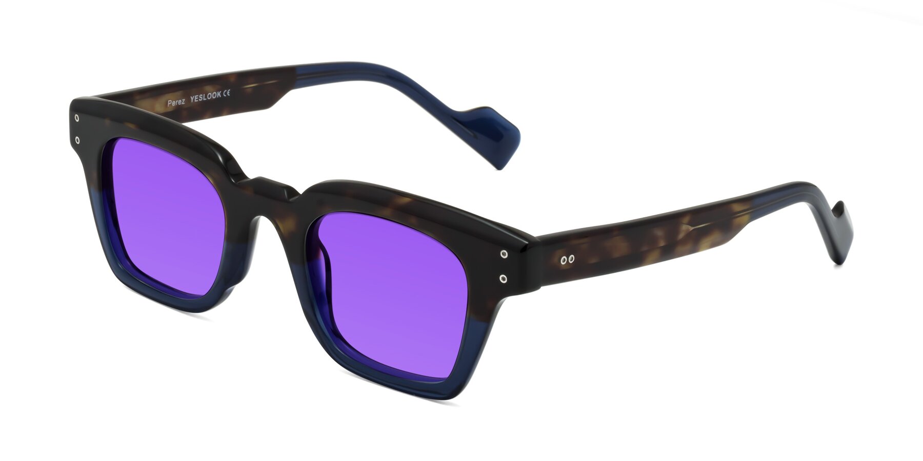 Angle of Perez in Dark Tortoise/Blue with Purple Tinted Lenses