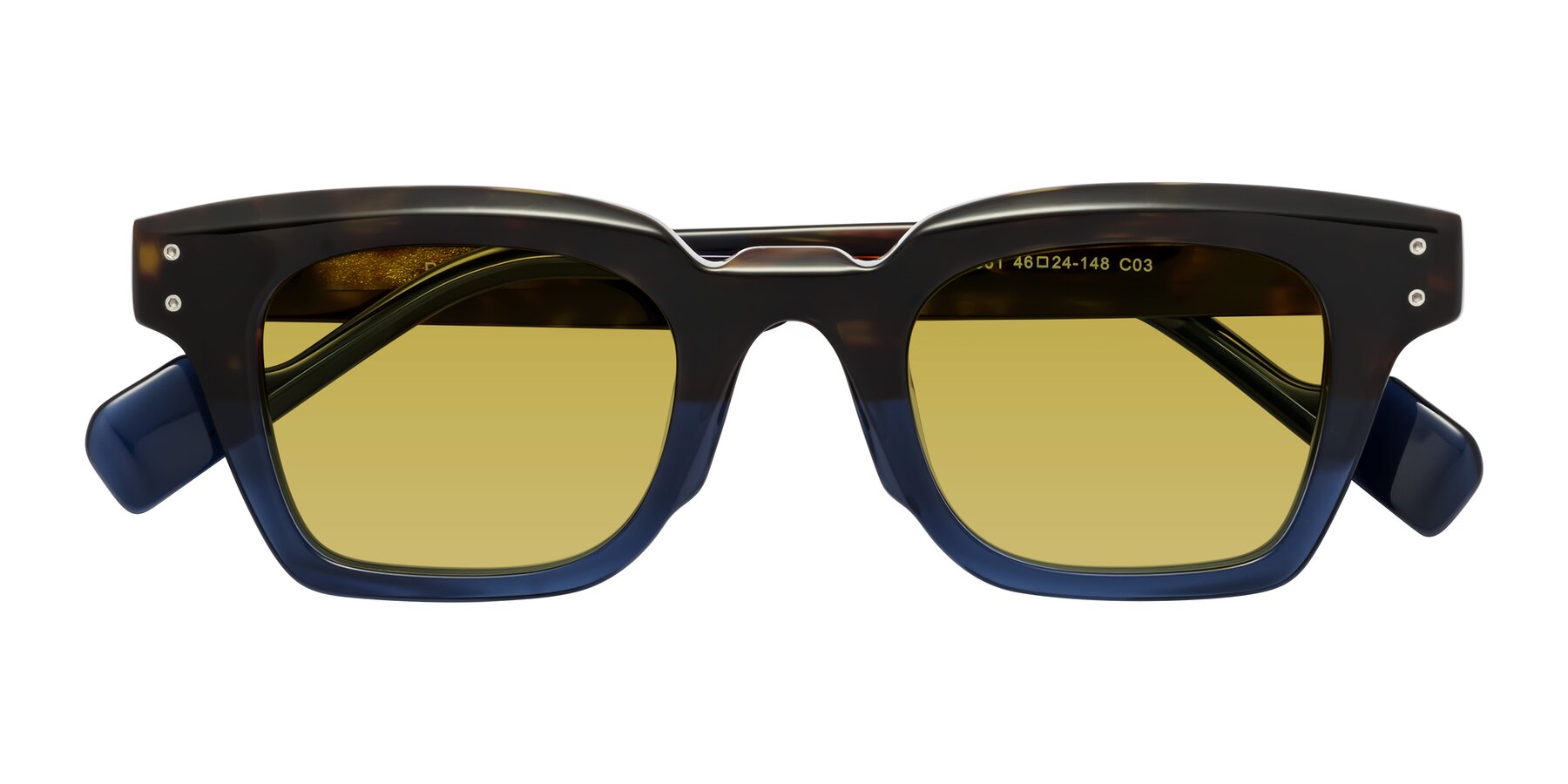 Folded Front of Perez in Dark Tortoise/Blue with Champagne Tinted Lenses