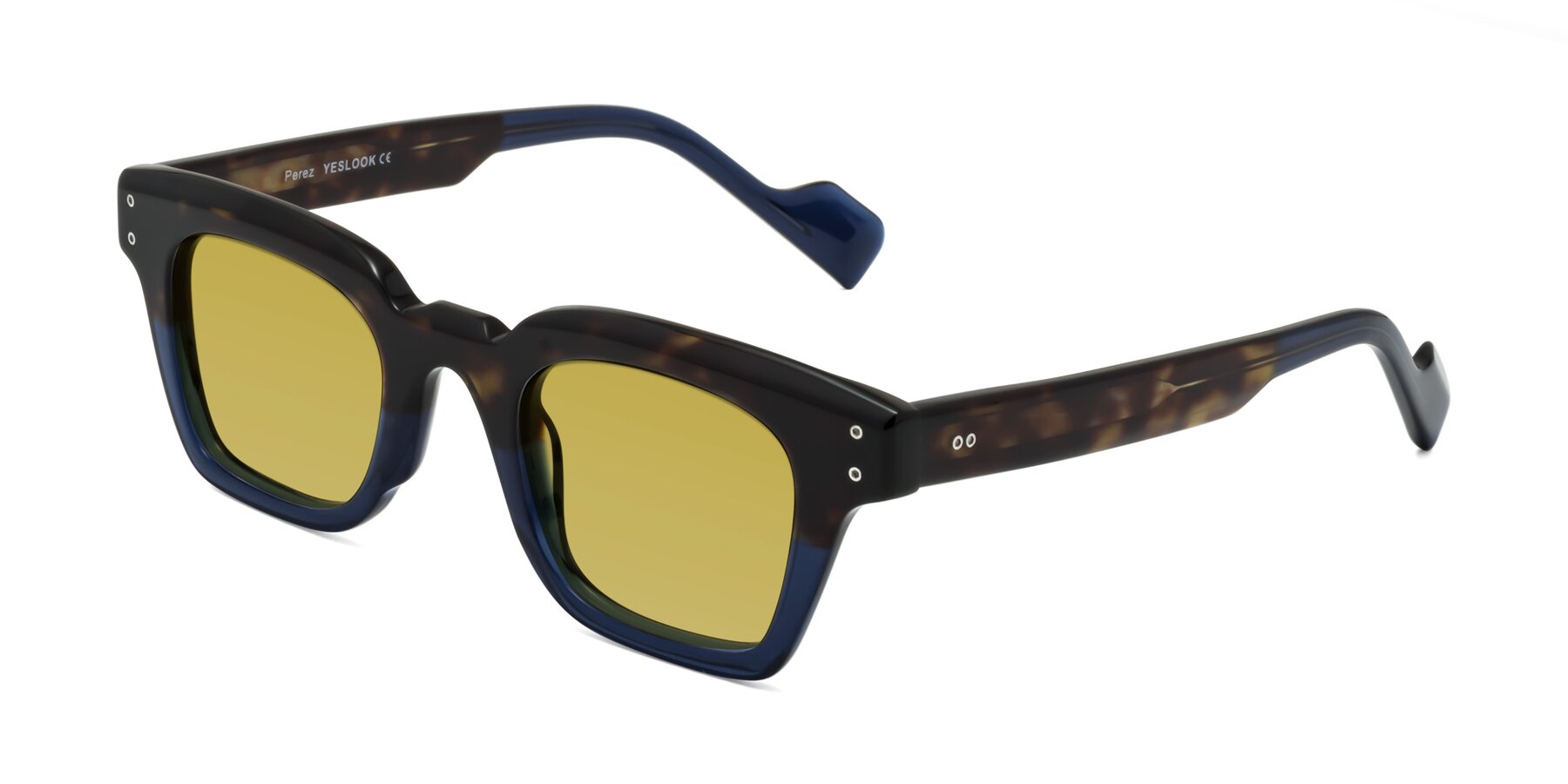 Angle of Perez in Dark Tortoise/Blue with Champagne Tinted Lenses