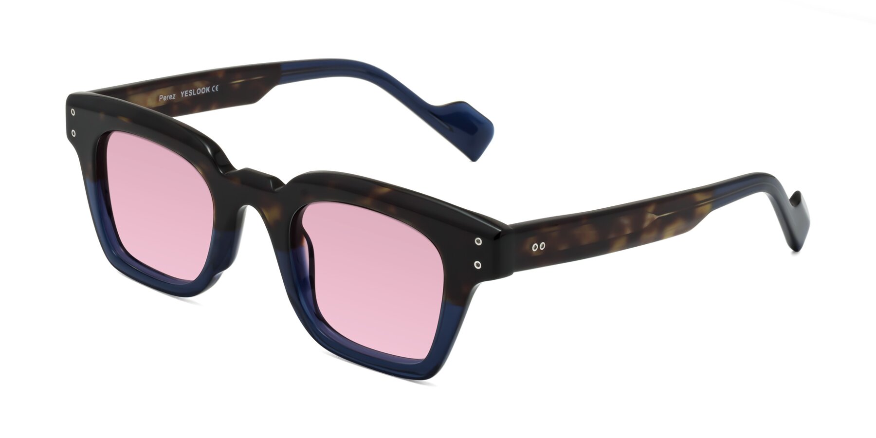 Angle of Perez in Dark Tortoise/Blue with Light Wine Tinted Lenses