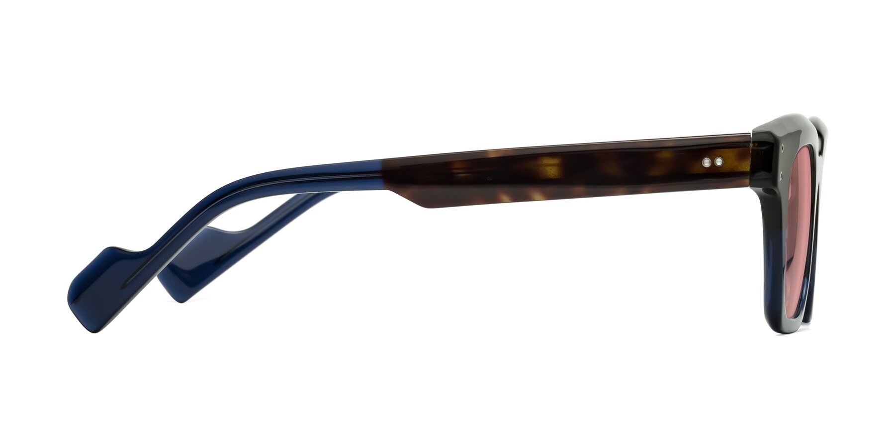 Side of Perez in Dark Tortoise/Blue with Medium Garnet Tinted Lenses