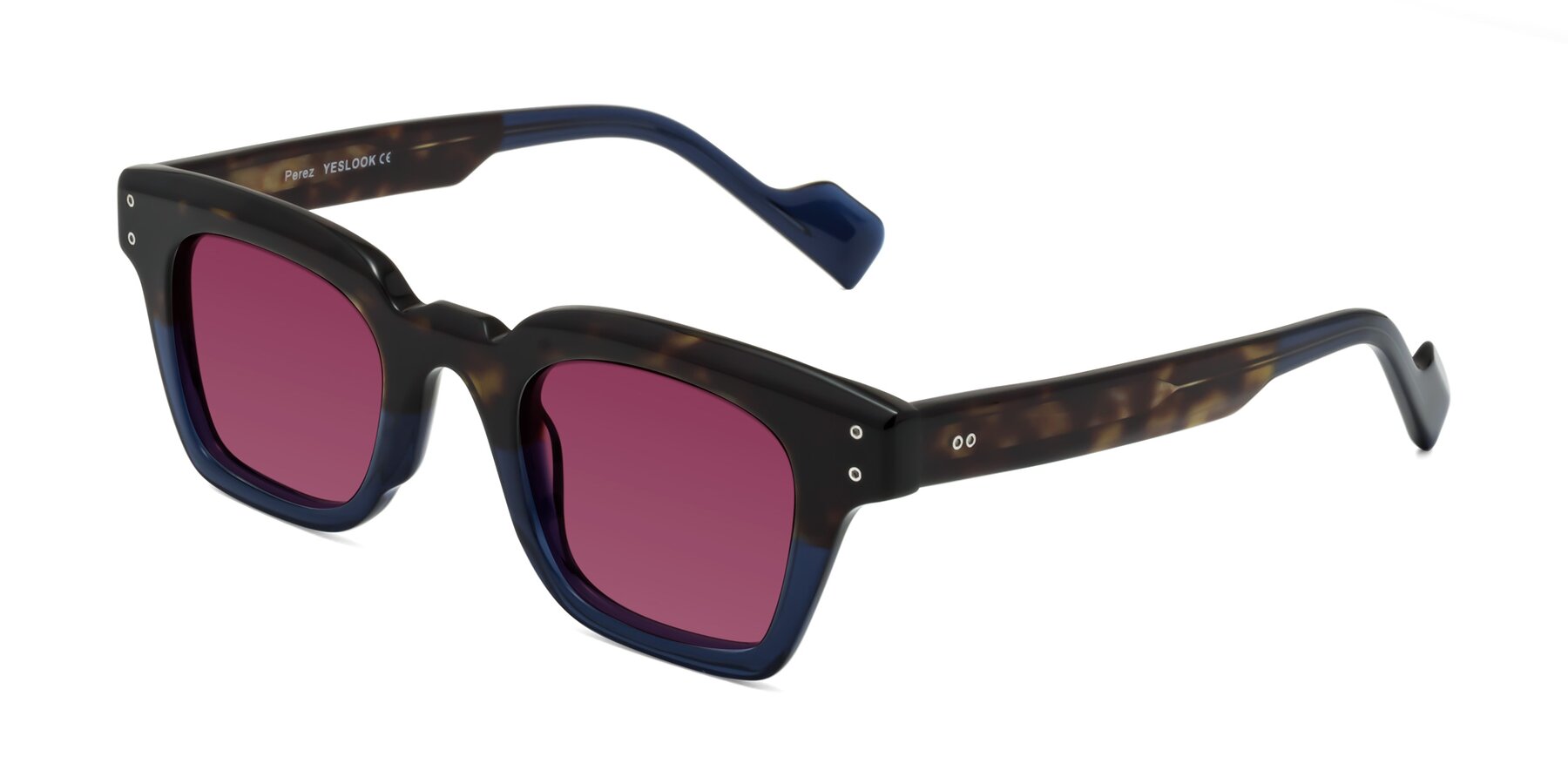 Angle of Perez in Dark Tortoise/Blue with Wine Tinted Lenses