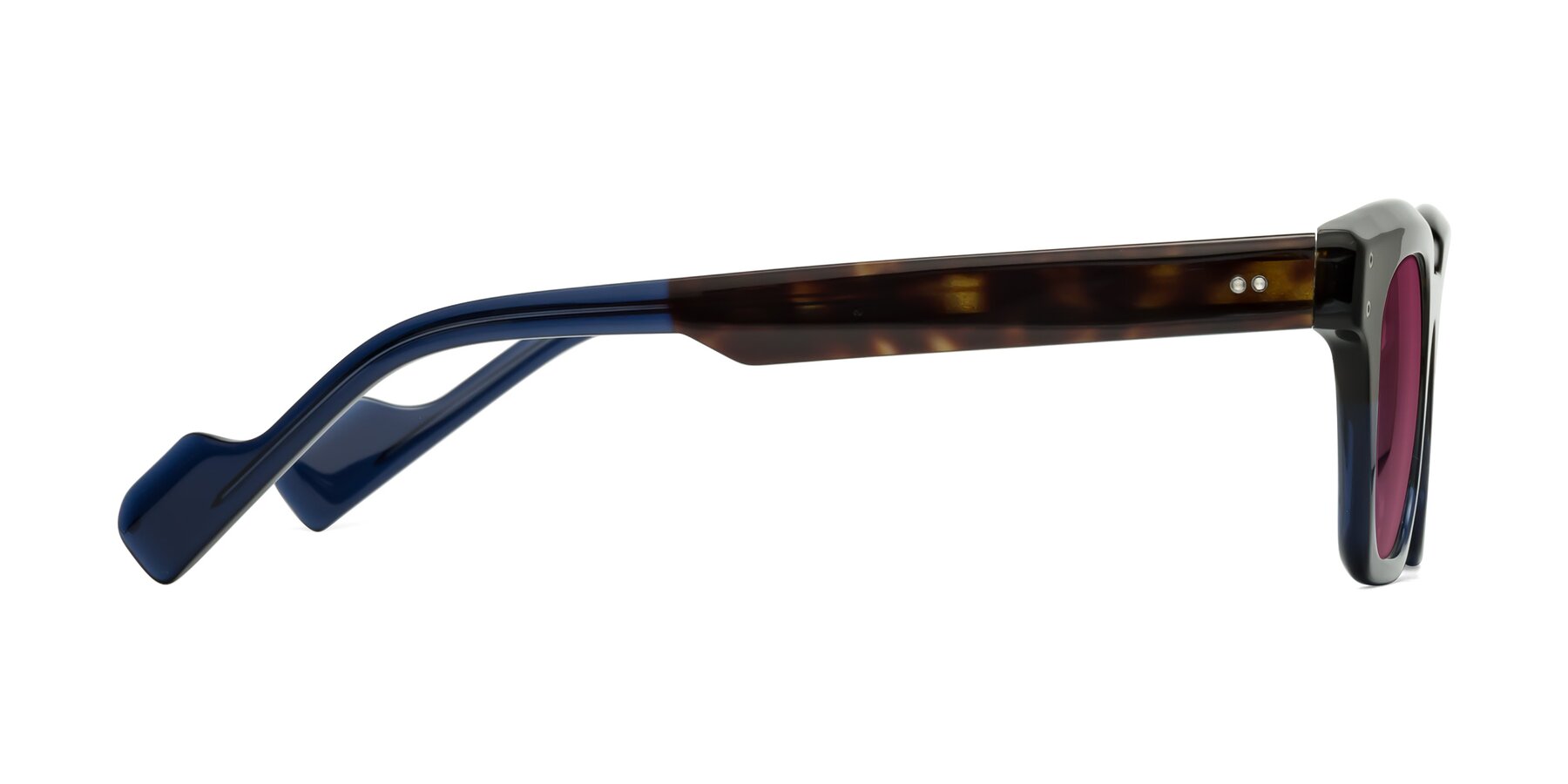 Side of Perez in Dark Tortoise/Blue with Wine Tinted Lenses