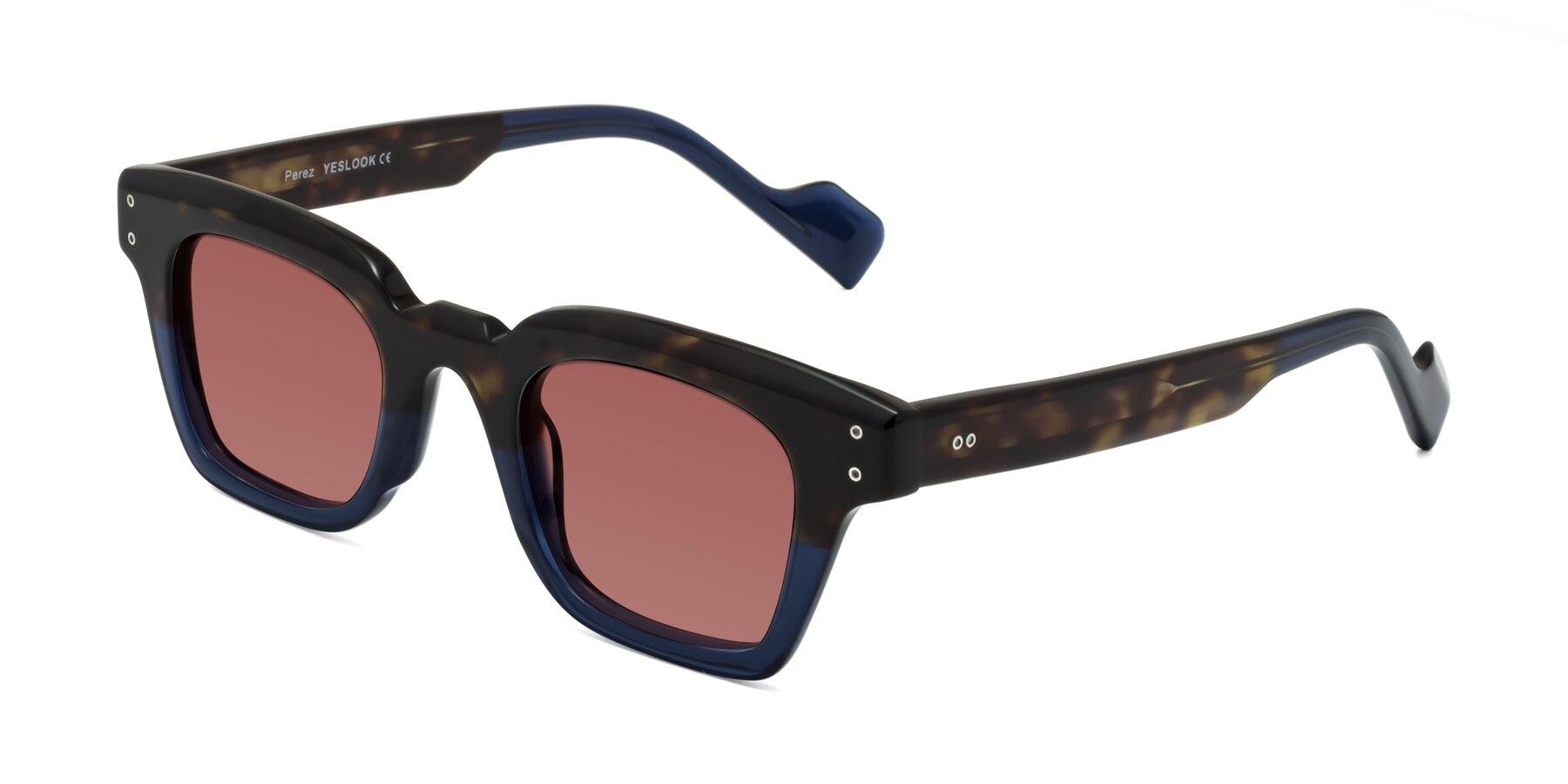 Angle of Perez in Dark Tortoise/Blue with Garnet Tinted Lenses