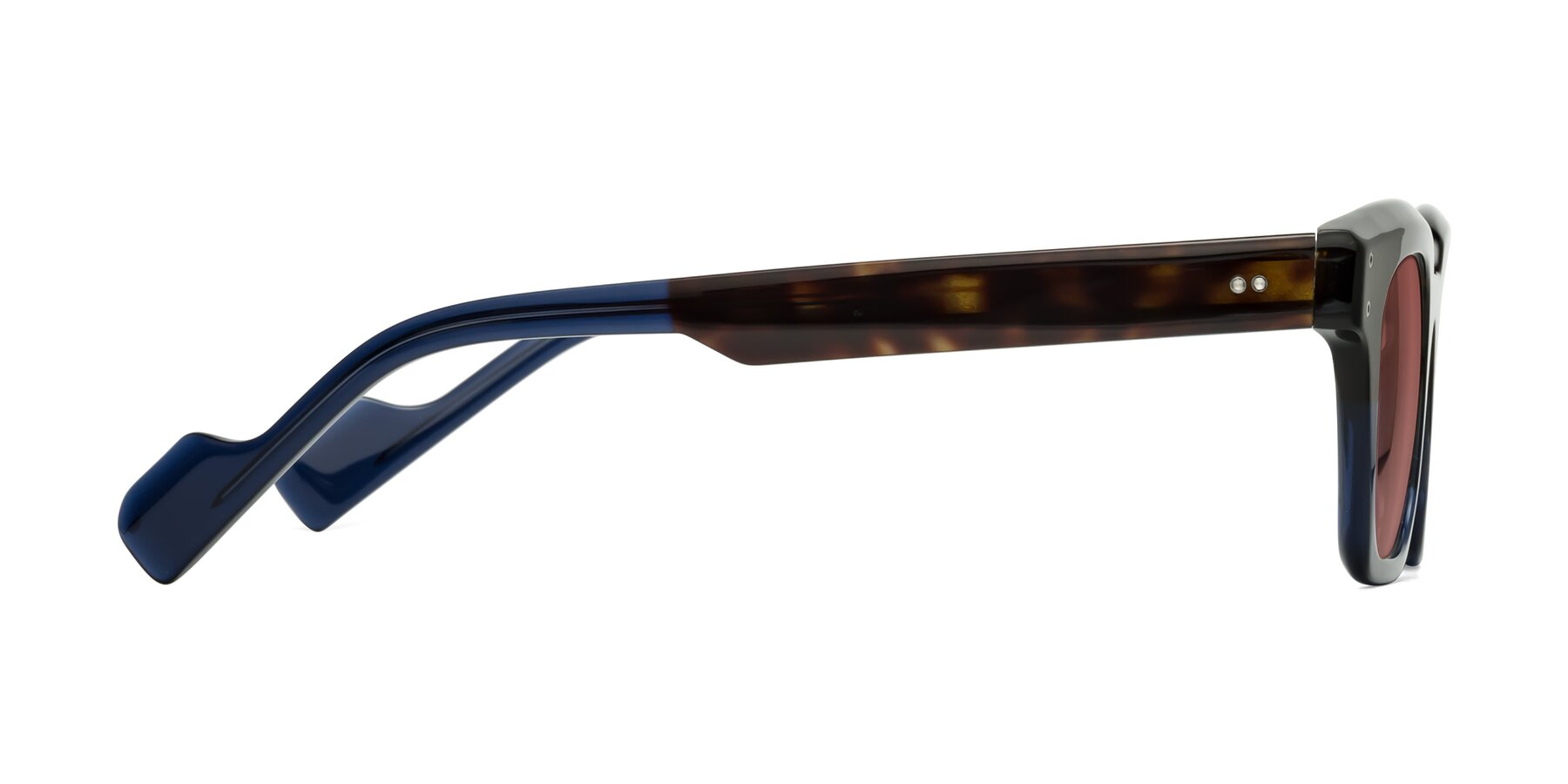 Side of Perez in Dark Tortoise/Blue with Garnet Tinted Lenses