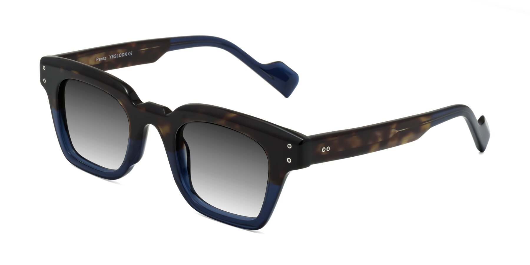 Angle of Perez in Dark Tortoise/Blue with Gray Gradient Lenses