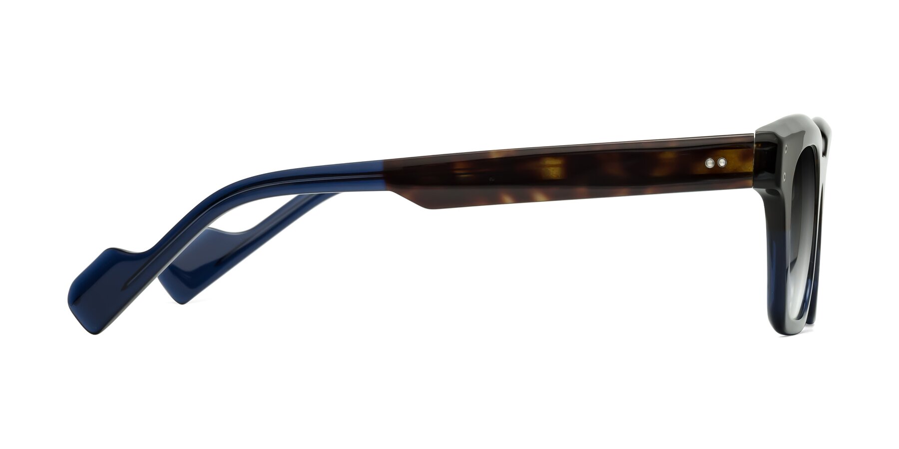 Side of Perez in Dark Tortoise/Blue with Gray Gradient Lenses
