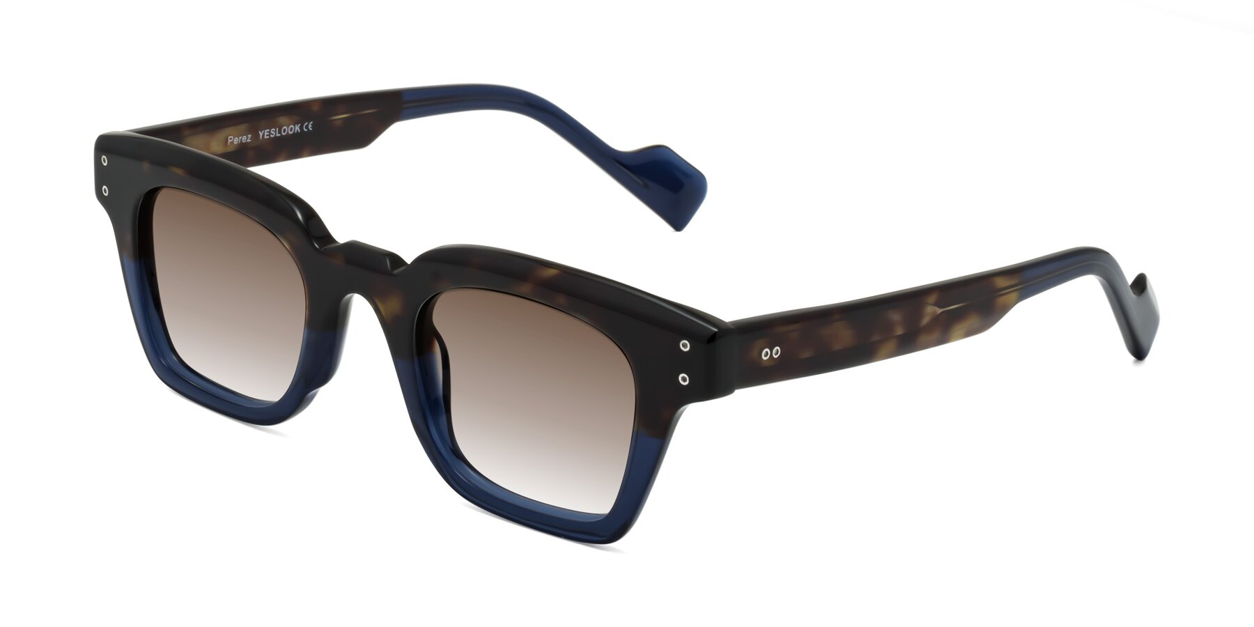 Angle of Perez in Dark Tortoise/Blue with Brown Gradient Lenses
