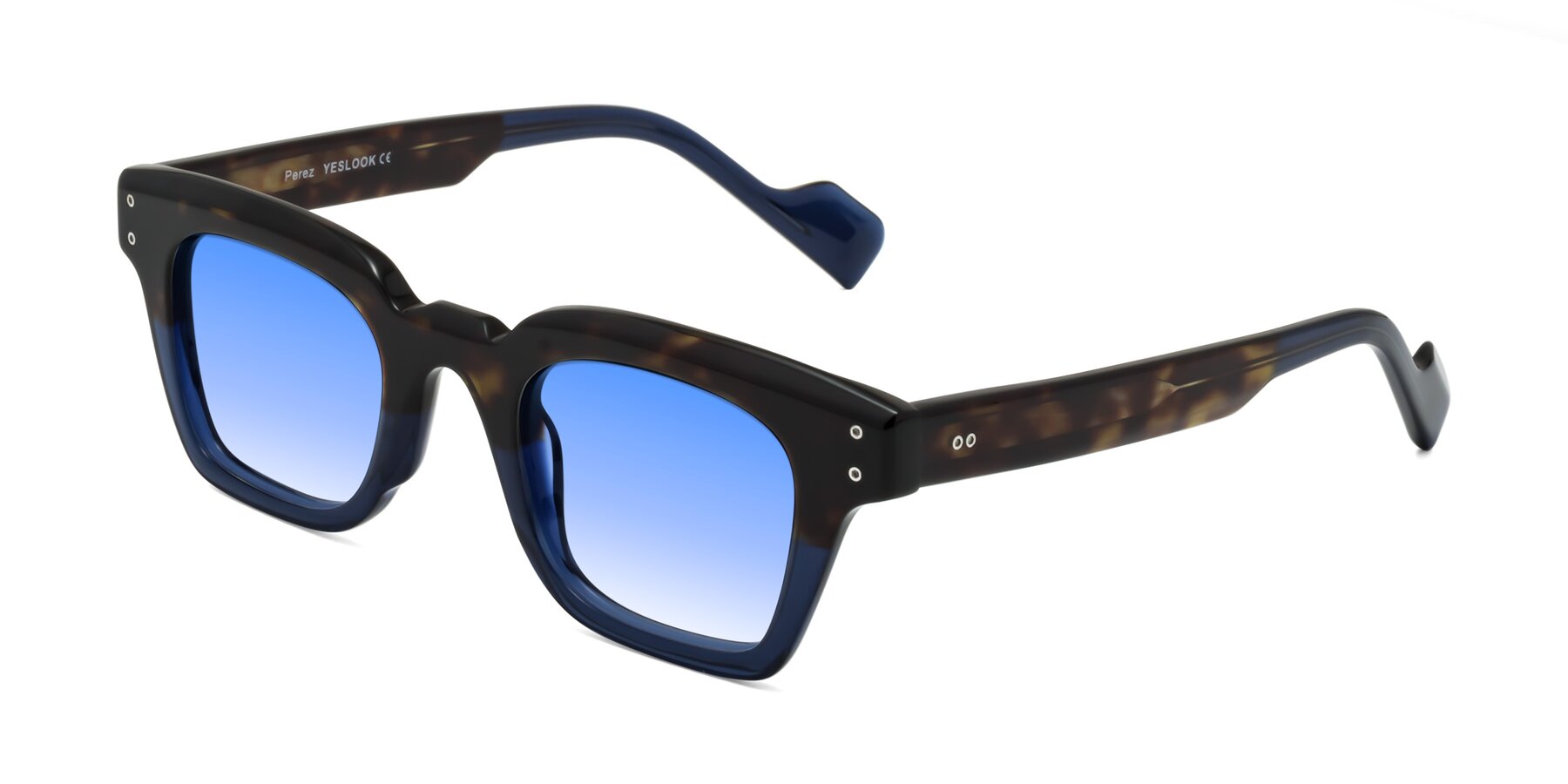 Angle of Perez in Dark Tortoise/Blue with Blue Gradient Lenses