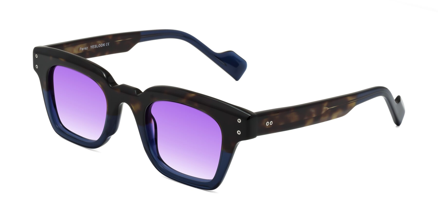 Angle of Perez in Dark Tortoise/Blue with Purple Gradient Lenses