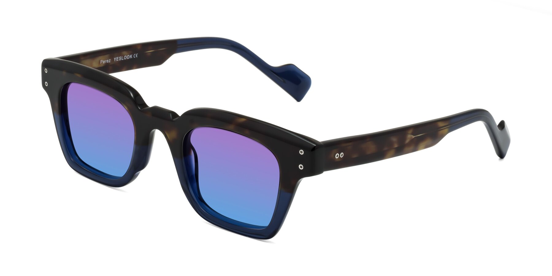 Angle of Perez in Dark Tortoise/Blue with Purple / Blue Gradient Lenses