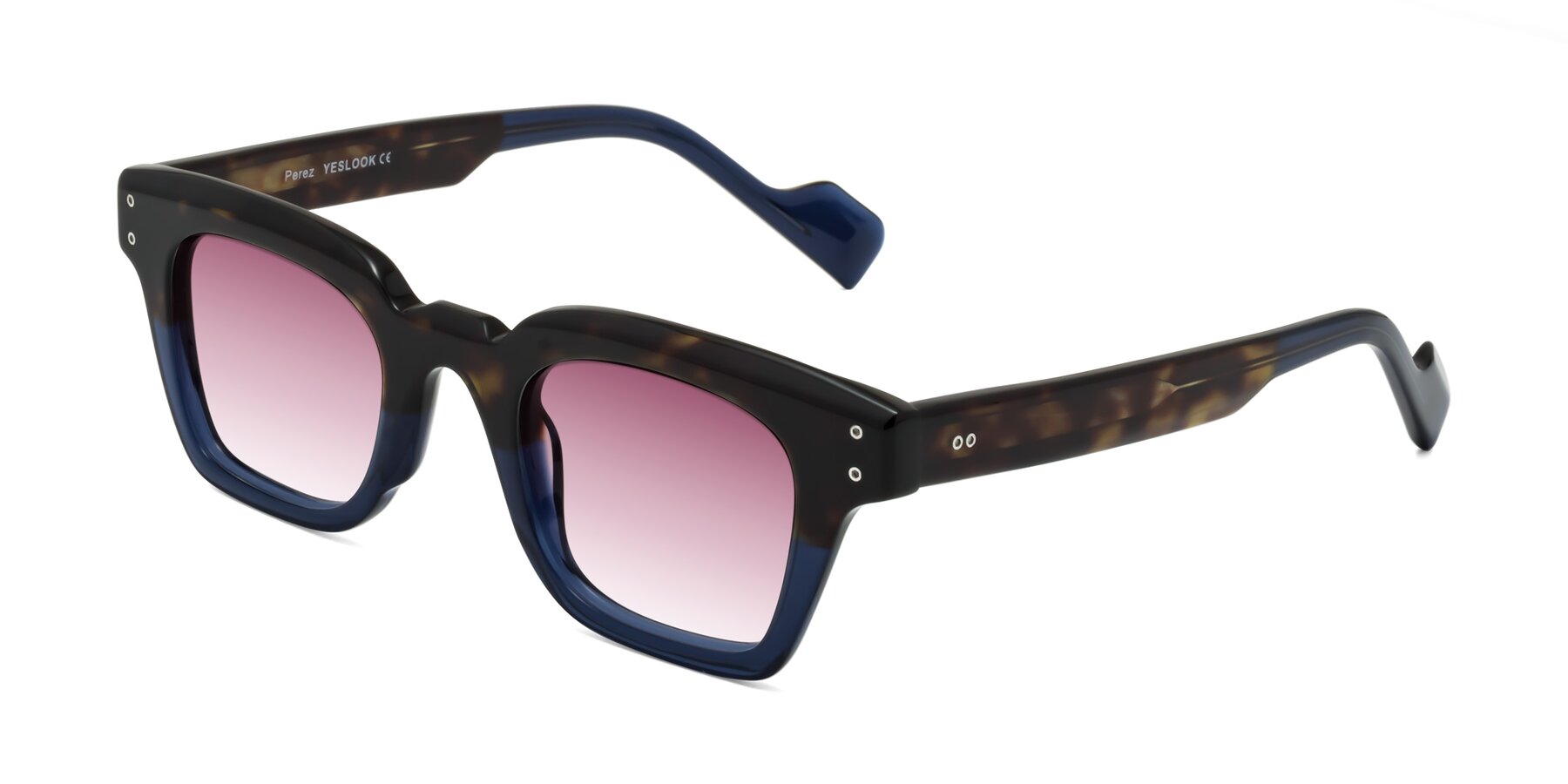 Angle of Perez in Dark Tortoise/Blue with Wine Gradient Lenses