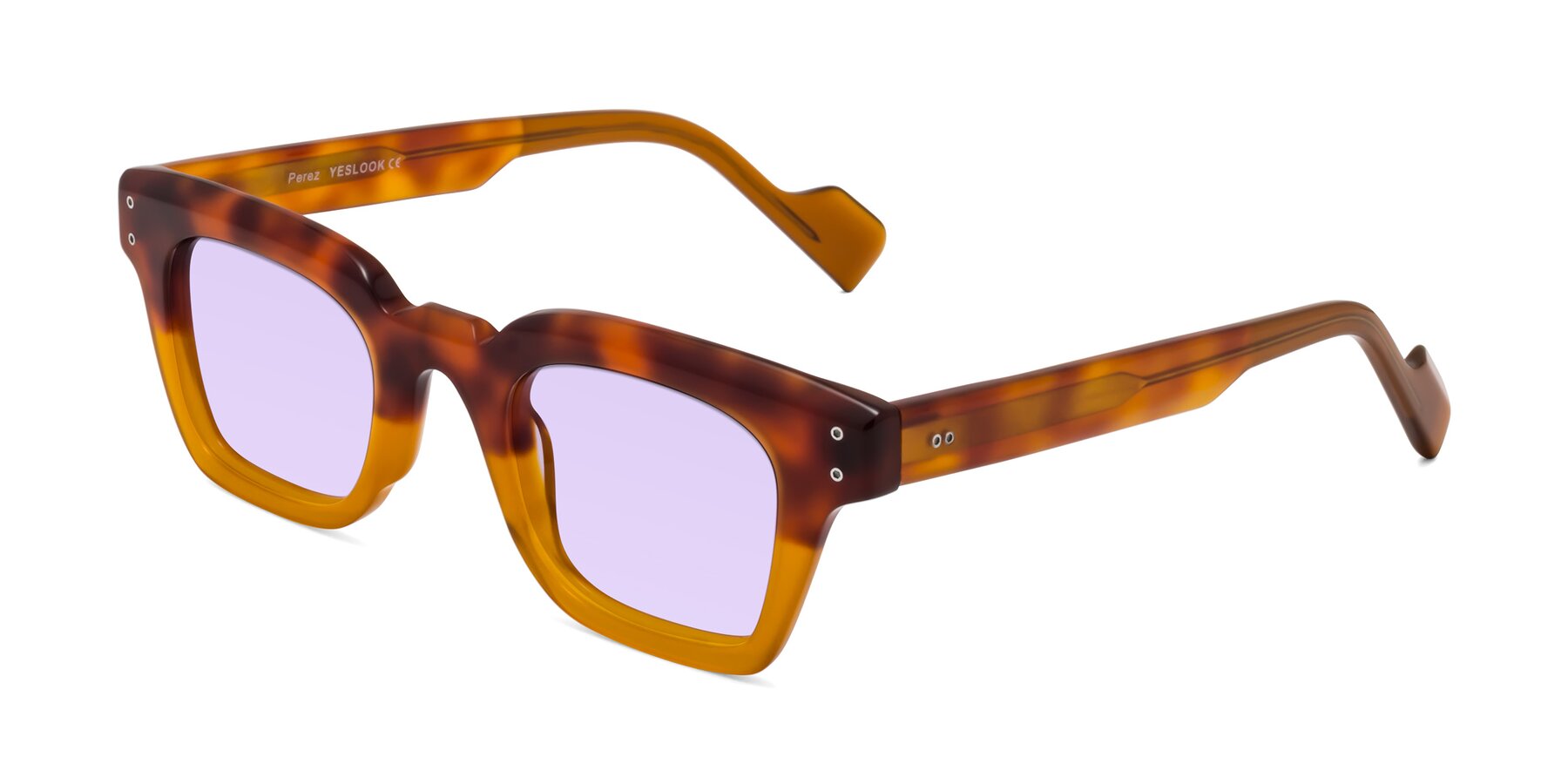 Angle of Perez in Tortoise/Amber with Light Purple Tinted Lenses