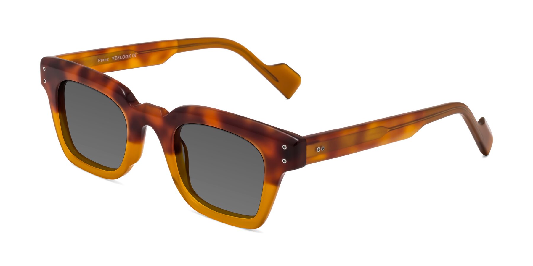 Angle of Perez in Tortoise/Amber with Medium Gray Tinted Lenses