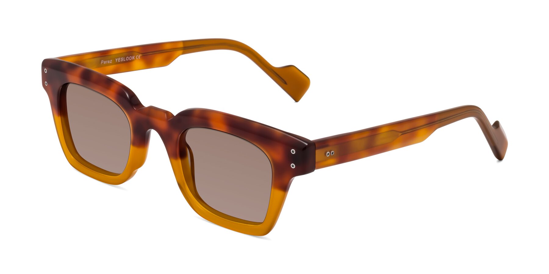 Angle of Perez in Tortoise/Amber with Medium Brown Tinted Lenses