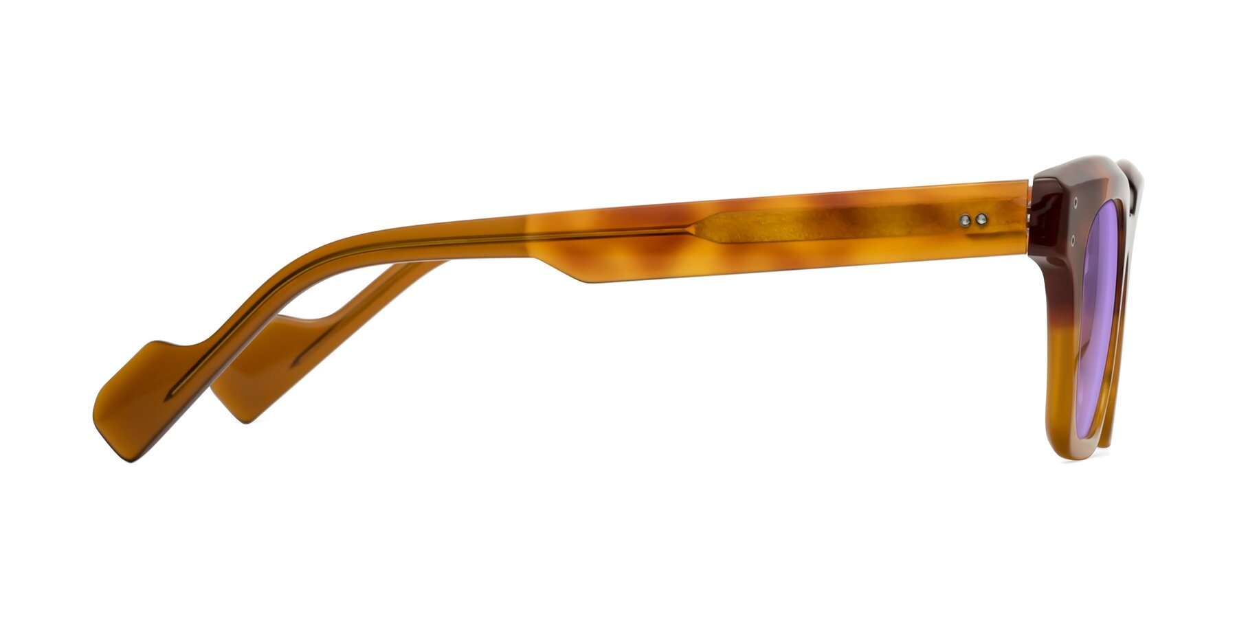 Side of Perez in Tortoise/Amber with Medium Purple Tinted Lenses