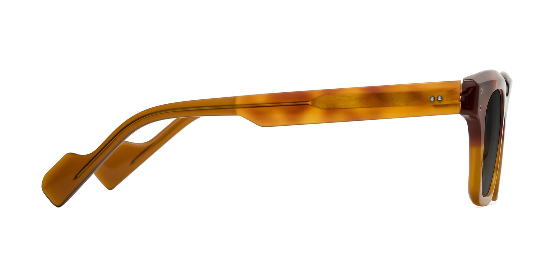 Side of Perez in Tortoise/Amber with Gray Tinted Lenses