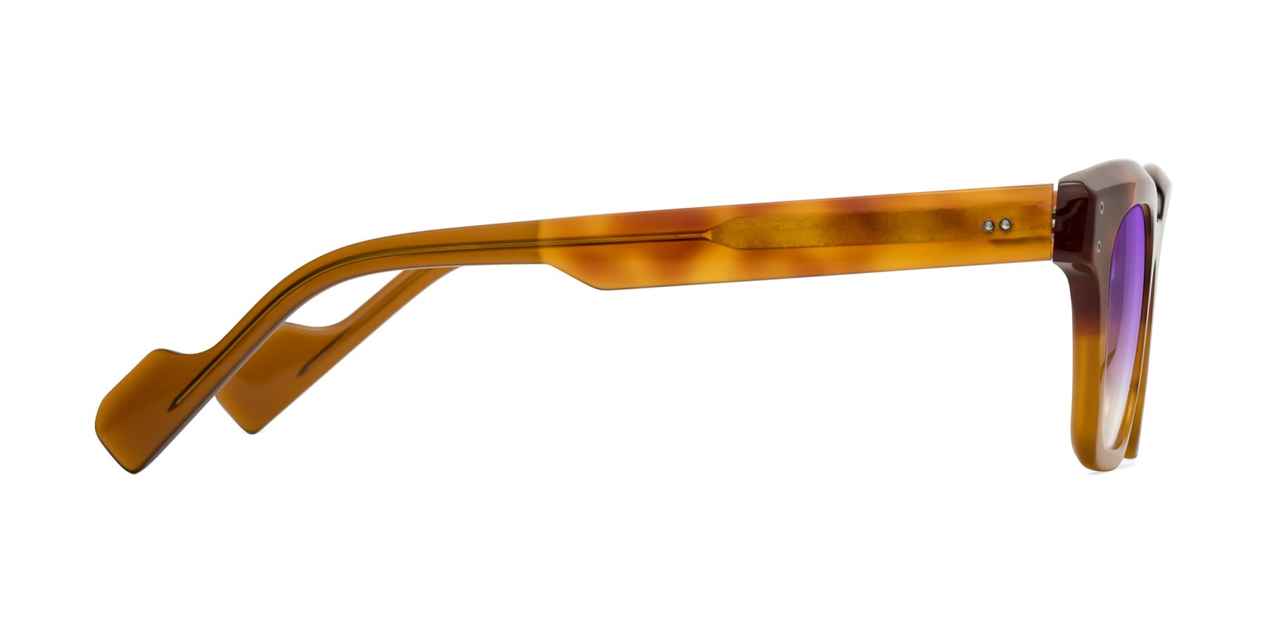 Side of Perez in Tortoise/Amber with Purple Gradient Lenses
