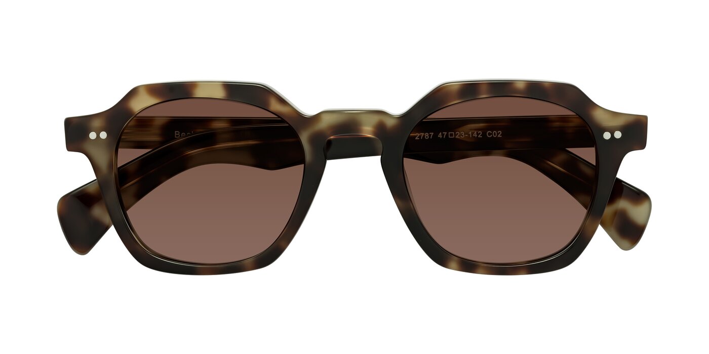 Beckett - Olive Tortoise Tinted Sunglasses